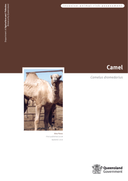 Camel Risk Assessment - Department of Agriculture and Fisheries