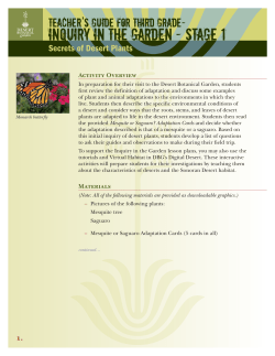 Inquiry in the Garden - Stage 1