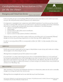 Cardiopulmonary Resuscitation (CPR) for the Pet Owner