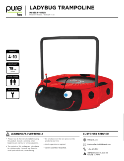 Ladybug Trampoline - Global Quality Brands