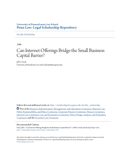 Can Internet Offerings Bridge the Small Business Capital Barrier?