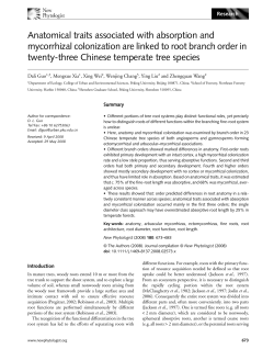 Anatomical traits associated with absorption and mycorrhizal