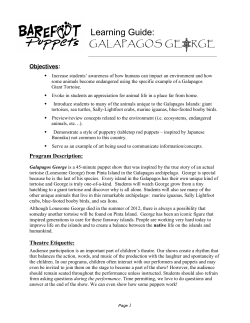 Galapagos George, the Little Tortoise that Could