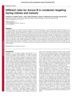 Different roles for Aurora B in condensin targeting during mitosis and
