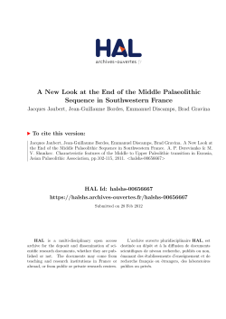 A New Look at the End of the Middle Palaeolithic - Hal-SHS