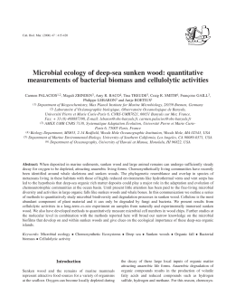 Microbial ecology of deep-sea sunken wood: quantitative