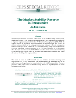 The Market Stability Reserve in Perspective
