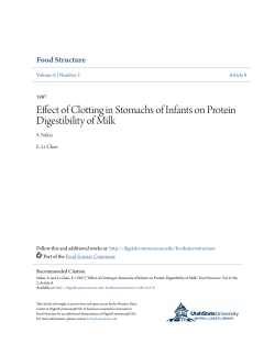 Effect of Clotting in Stomachs of Infants on Protein Digestibility of Milk