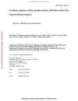 Coordinate regulation of eIF2&alpha; phosphorylation by dPPP1R15 and