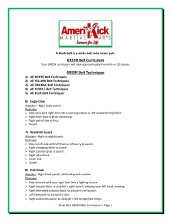 GREEN Belt Curriculum GREEN Belt Techniques
