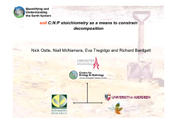 soil C:N:P stoichiometry as a means to constrain