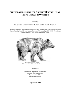 species assessment for grizzly (brown) bear