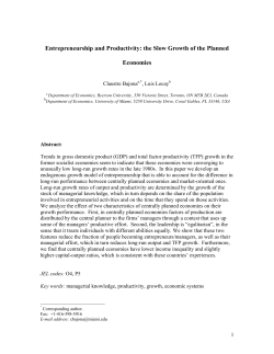 Entrepreneurship and Productivity: the Slow Growth of