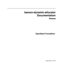 bareon-dynamic-allocator Documentation