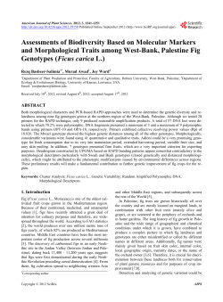 Assessments of Biodiversity Based on Molecular Markers and