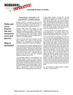 Amazing examples of symbiotic relationships