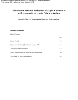 Access to Primary Amines