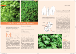 Sorting the mosses from the liverworts