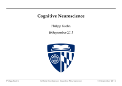 Cognitive Neuroscience