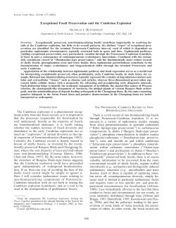 Exceptional Fossil Preservation and the Cambrian Explosion1