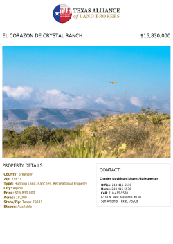Print Flyer - Texas Alliance of Land Brokers