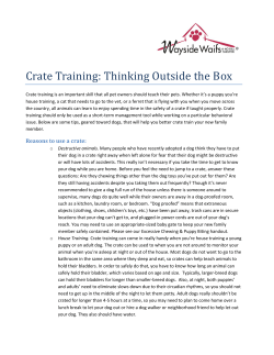 Crate Training: Thinking Outside the Box