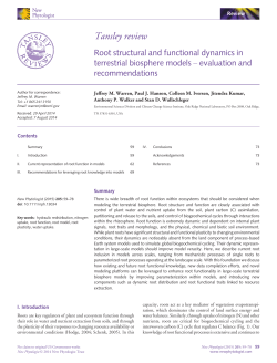 Root structural and functional dynamics in terrestrial biosphere