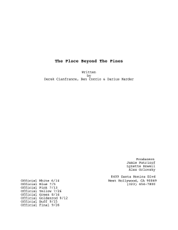 The Place Beyond The Pines