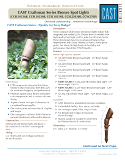 CAST Craftsman Series Bronze Spot Lights