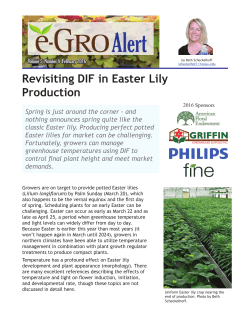 Revisiting DIF in Easter Lily Production - e-GRO