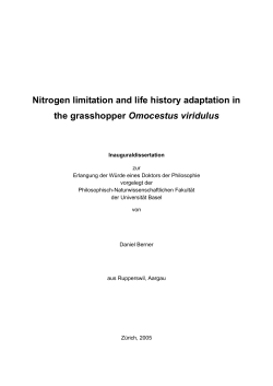 Nitrogen limitation and life history adaptation in the grasshopper