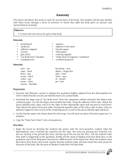 Anatomy - Ascanius: The Youth Classics Institute