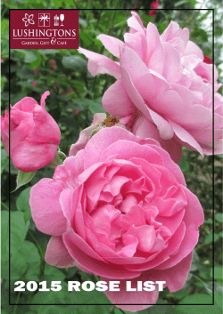 lushng - Lushingtons