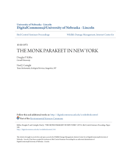 the monk parakeet in new york - DigitalCommons@University of