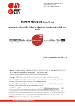 Dionaea muscipula, Venus Flytrap