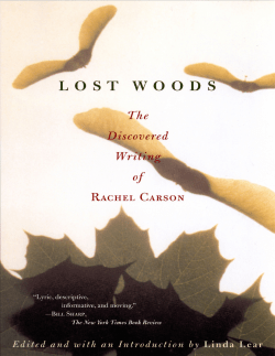 Lost Woods - PDF Archive