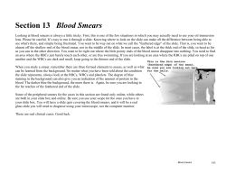 Section 13 Blood Smears