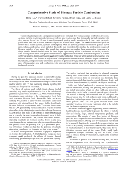 Comprehensive Study of Biomass Particle Combustion