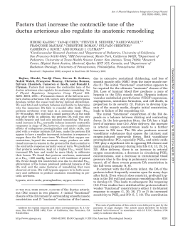 Factors that increase the contractile tone of the