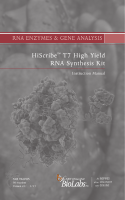HiScribe T7 High Yield RNA Synthesis Kit