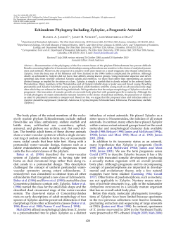 Echinoderm Phylogeny Including Xyloplax, a