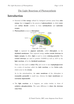 The Light Reactions of Photosynthesis