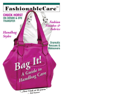 Handbag Care - Couture Cleaner