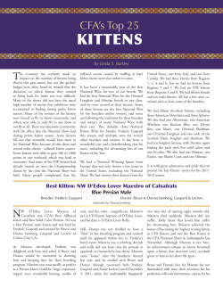 Top 25 Kittens - The Cat Fanciers` Association