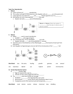 Topic Five: Reproduction I. Mitosis A) Used in all forms of