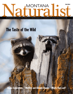Montana Naturalist Fall 2014 - Montana Natural History Center
