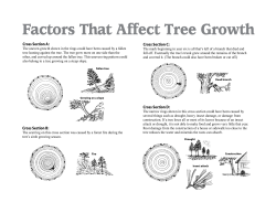 Factors that affect Tree Growth