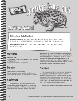 Survivor Animal - Nebraska 4-H