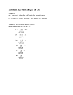 Euclidean Algorithm (Pages 11-13)