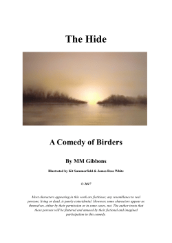 an abridged pre-published sample of Chapter 1 of the